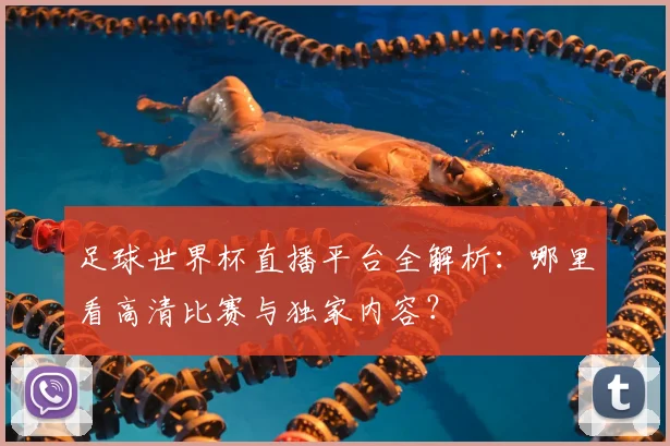 足球世界杯直播平台全解析：哪里看高清比赛与独家内容？