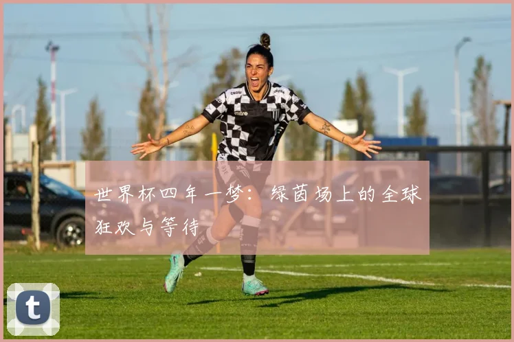 世界杯四年一梦：绿茵场上的全球狂欢与等待