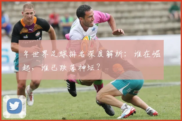 年世界足球排名深度解析：谁在崛起，谁已跌落神坛？