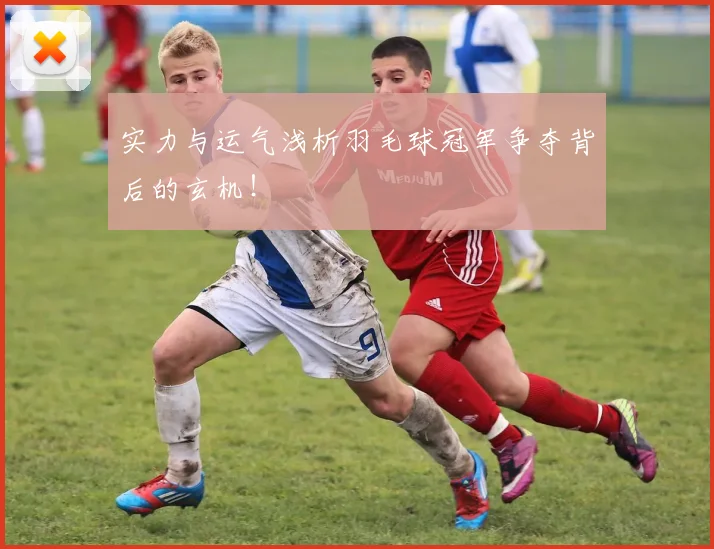实力与运气浅析羽毛球冠军争夺背后的玄机！